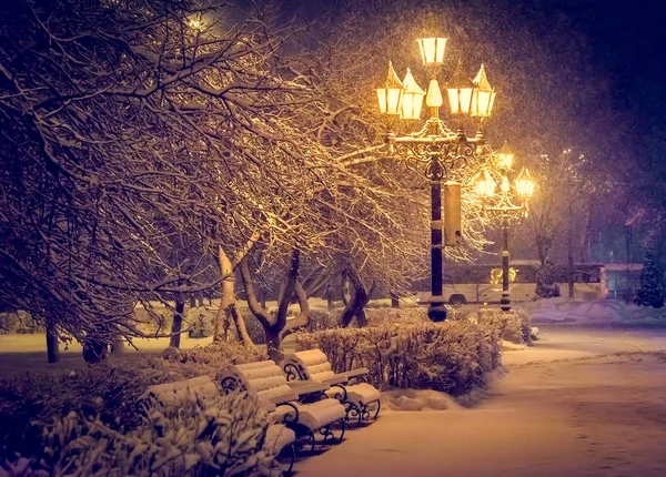 Latarnia noc snow drzewo — Zdjęcie stockowe