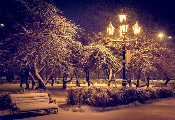 Фонарь ночное снежное дерево — стоковое фото
