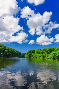 Chevon Nehri Dominik Cumhuriyeti