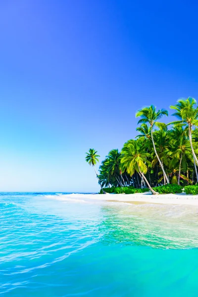 Bela paisagem caribenha com palmeira na praia — Fotografia de Stock
