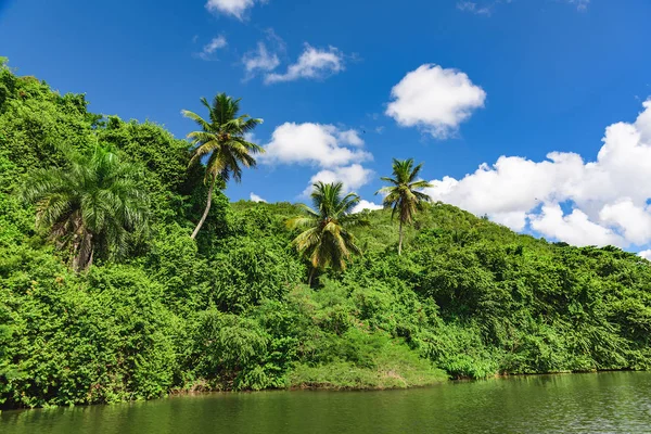 Chevon River Dominican Republic — Stock fotografie