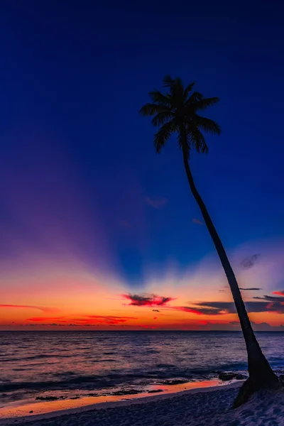 Beautiful sunset of the caribbean — Stock Photo, Image