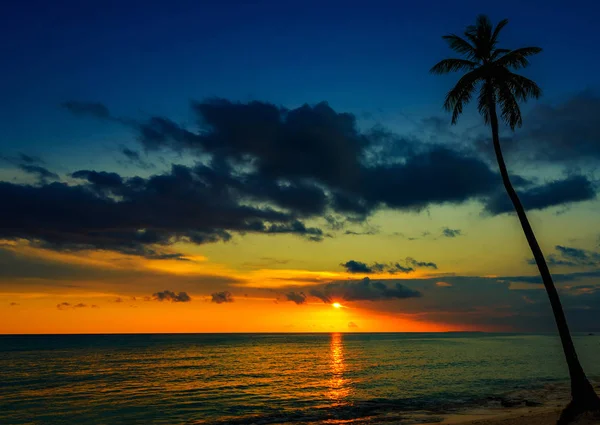 Karayiplerin güzel günbatımı Telifsiz Stok Fotoğraflar