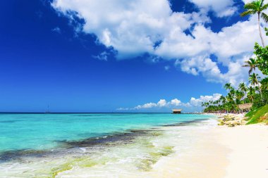 Karayipler 'in sahil kenarı palmiye ağaçlarının çatısı denize açılıyor.