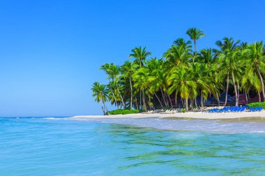 Palm Beach Şezlongu