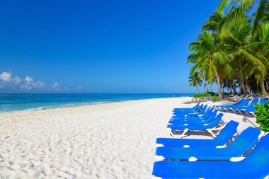 Palm Beach Şezlongu