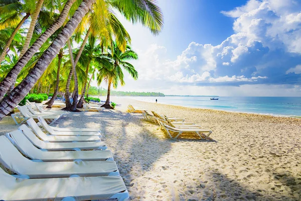 Palm strand schäslong — Stockfoto