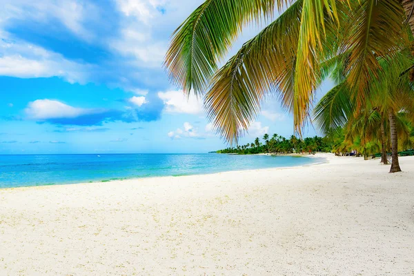 Paraíso playa tropical — Foto de Stock