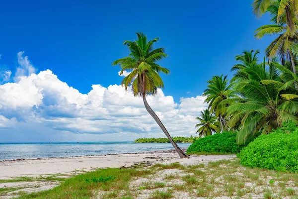 Tropik cennet plaj - Stok İmaj