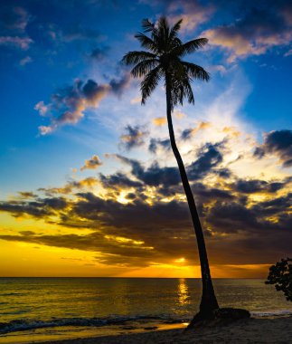 Karayipler 'in güzel, sakin gün batımı güzel havada.