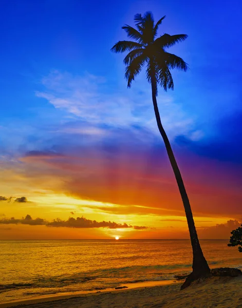 beautiful calm color sunset of the Caribbean in fine weather