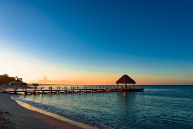 Dominik Cumhuriyeti 'ndeki tropik beyaz kumlu sahilde güzel bir çardak Karayip denizi.