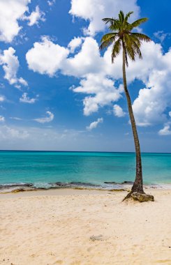 Atlantik Okyanusu 'nun güzel tropikal manzarası gökyüzü okyanus gökyüzüne karşı