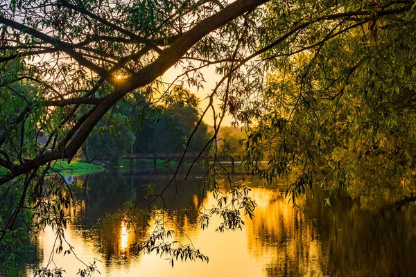 Aube Colorée Tôt Matin Sur Étang Rayons Soleil Travers Les — Photo