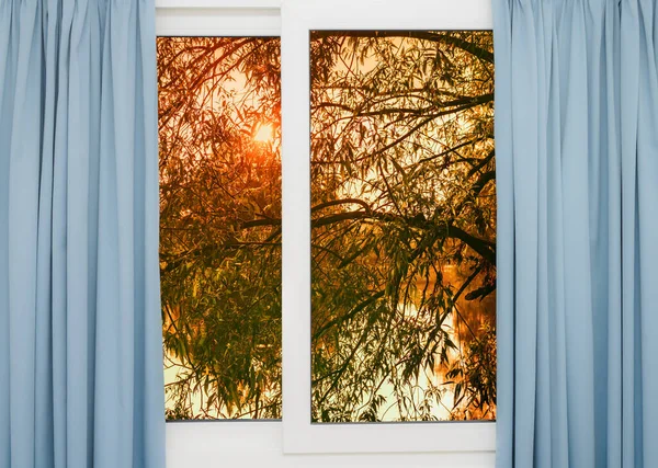 Sabahın Erken Saatlerinde Pencereden Gölet Ağaçların Üzerinden — Stok fotoğraf