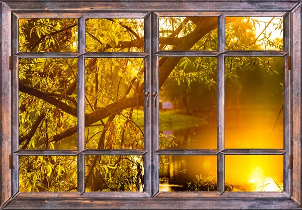 Widok Okna Wczesnym Rankiem Wschód Słońca Nad Stawem Drzew — Zdjęcie stockowe