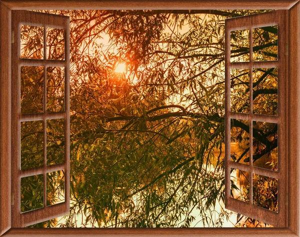 Vista Janela Manhã Cedo Nascer Sol Sobre Lagoa Árvores — Fotografia de Stock