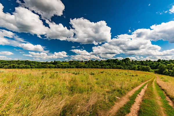 Paesaggio Rurale Strada Sterrata Nel Campo Cielo Blu Con Nuvole — Foto Stock