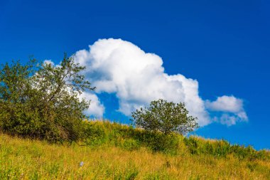 Baharda gökyüzü olan çayır manzarası, güneşli bir gün.