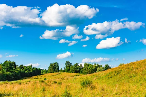 Grasland Landschap Met Lucht Het Voorjaar Zonnige Dag — Stockfoto
