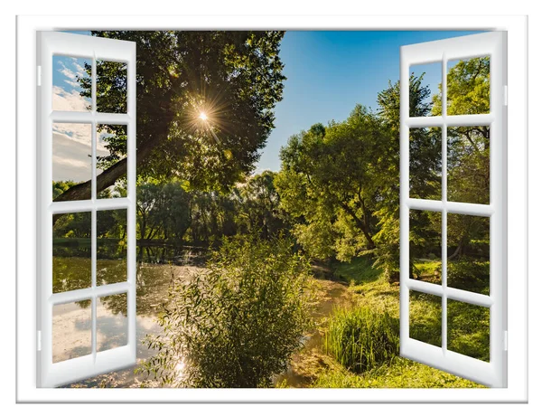 여름의 나무의 창에서 바라본 스톡 이미지