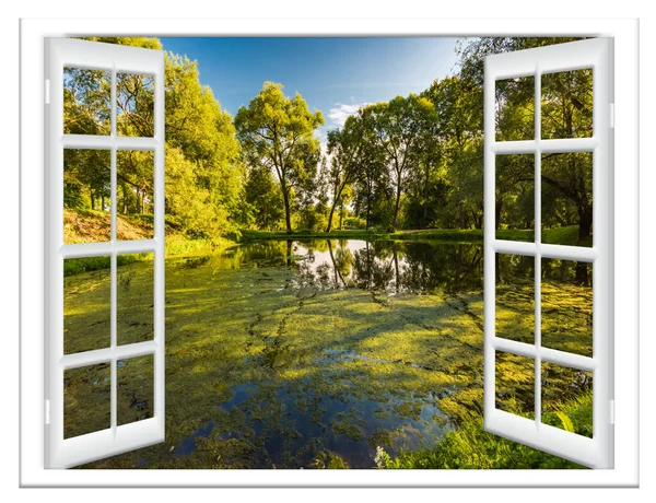 Yazın Pencereden Ağaç Manzarası Telifsiz Stok Fotoğraflar