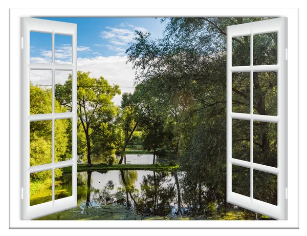 Вид Вікна Тілі Води Дерева Влітку Ліцензійні Стокові Зображення