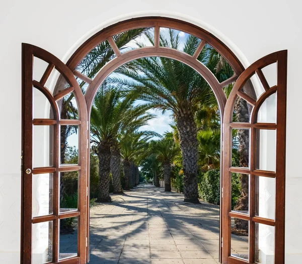 夏日阳光明媚的时候 在棕榈树小巷的门口打开拱门 — 图库照片