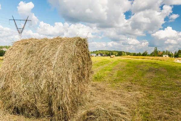 Rundbalar Fältet — Stockfoto