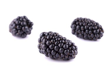 Blackberry beyaz arkaplanda izole edildi.