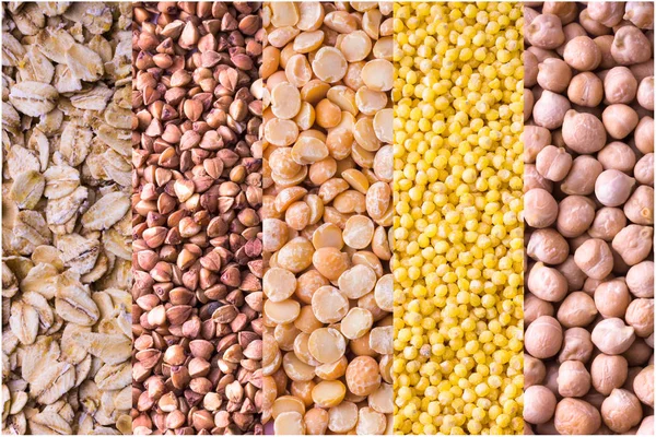 Collage of different crops. Grain crops are the basis of life for both humans and animals.