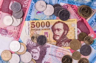 Macar para birimi-Forint, yakın çekim. Farklı mezhepleri arka planda banknotlar.