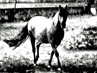 serbest el at baş sanat tasarım