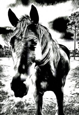 serbest el at baş sanat tasarım