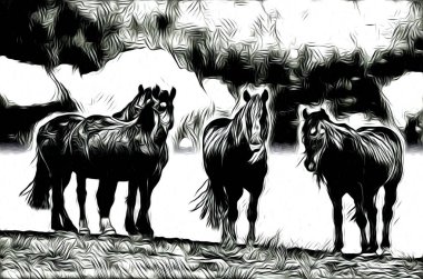 serbest el at baş sanat tasarım