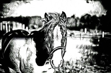 serbest el at baş sanat tasarım