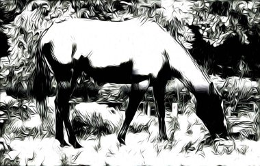 serbest el at baş sanat tasarım