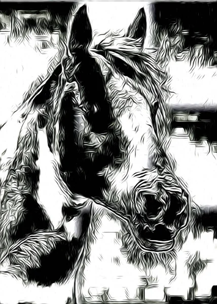 Freehand Paard Hoofd Kunst Design — Stockfoto