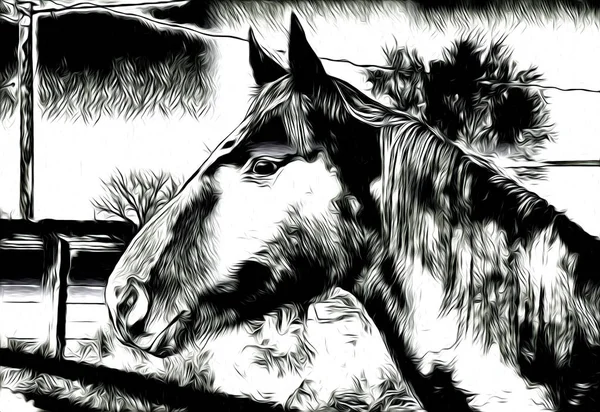 Freehand Paard Hoofd Kunst Design — Stockfoto