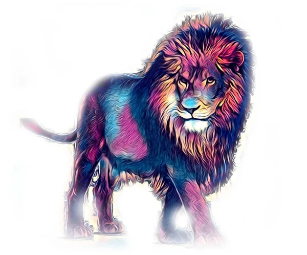 lion art illustration drawing