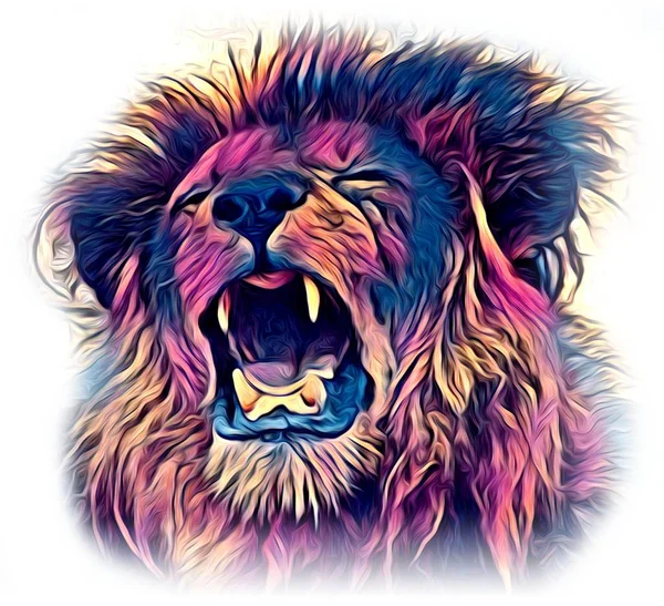 狮子艺术插画画 — 图库照片