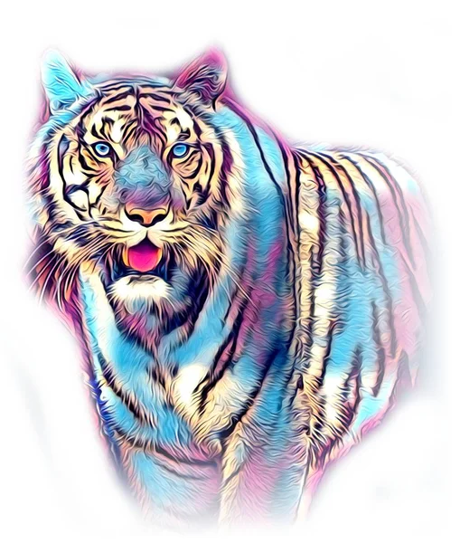 tiger art illustration color