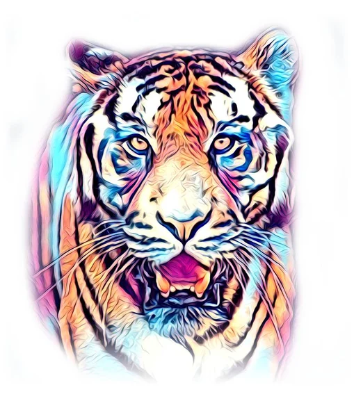 Tiger Umění Ilustrace Barva — Stock fotografie