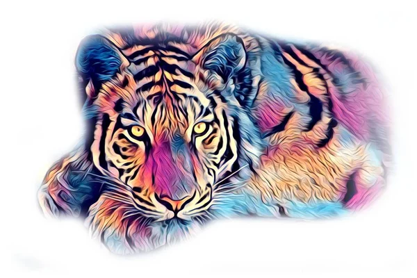 Χρώμα Εικονογράφηση Τέχνη Τίγρης — Φωτογραφία Αρχείου