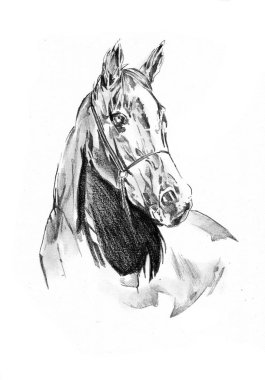 serbest el at baş karakalem