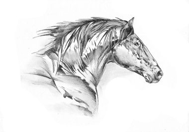 serbest el at baş karakalem