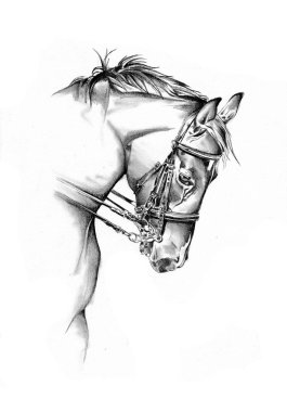 serbest el at baş karakalem