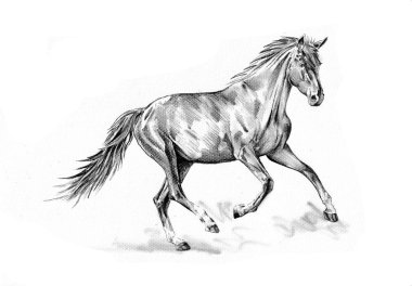 serbest el at baş karakalem