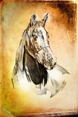 serbest el at baş sanat illüstrasyon