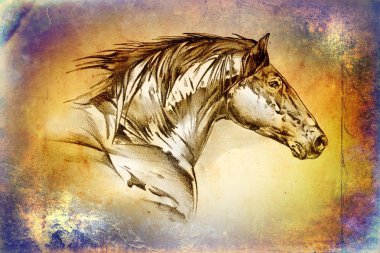 serbest el at baş sanat illüstrasyon